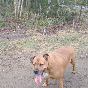 Meet your Posher, Marie